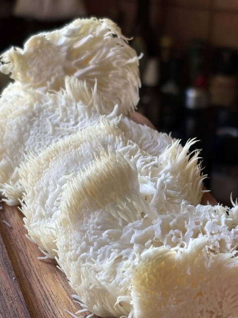 Soplówka jeżowata - świeży grzyb funkcjonalny z uprawy z Polski - 1 kg