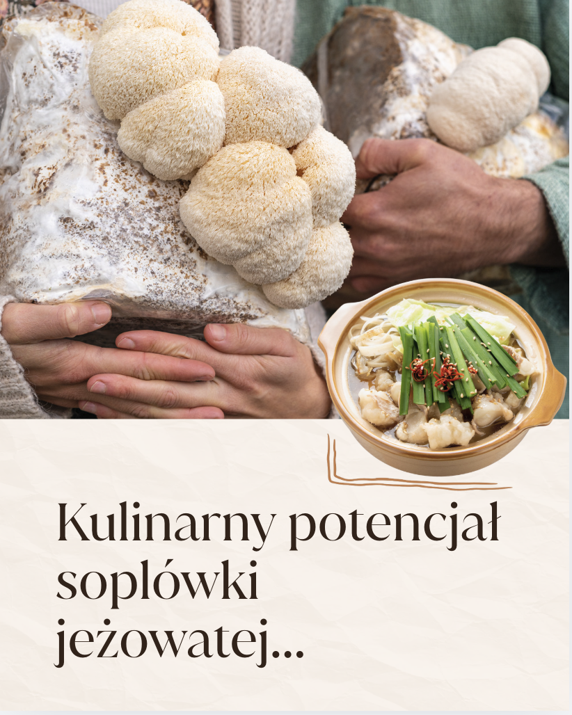 Czy grzyb może zmieniać smak, aromat i teksturę potraw równie skutecznie jak zaawansowane dodatki technologiczne? Okazuje się, że tak.